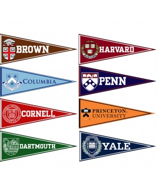 Colored Felt Pennant with Felt Strip