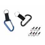 Carabiner Key Tag