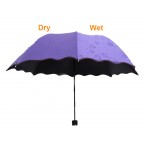 Colour Changing Umbrella