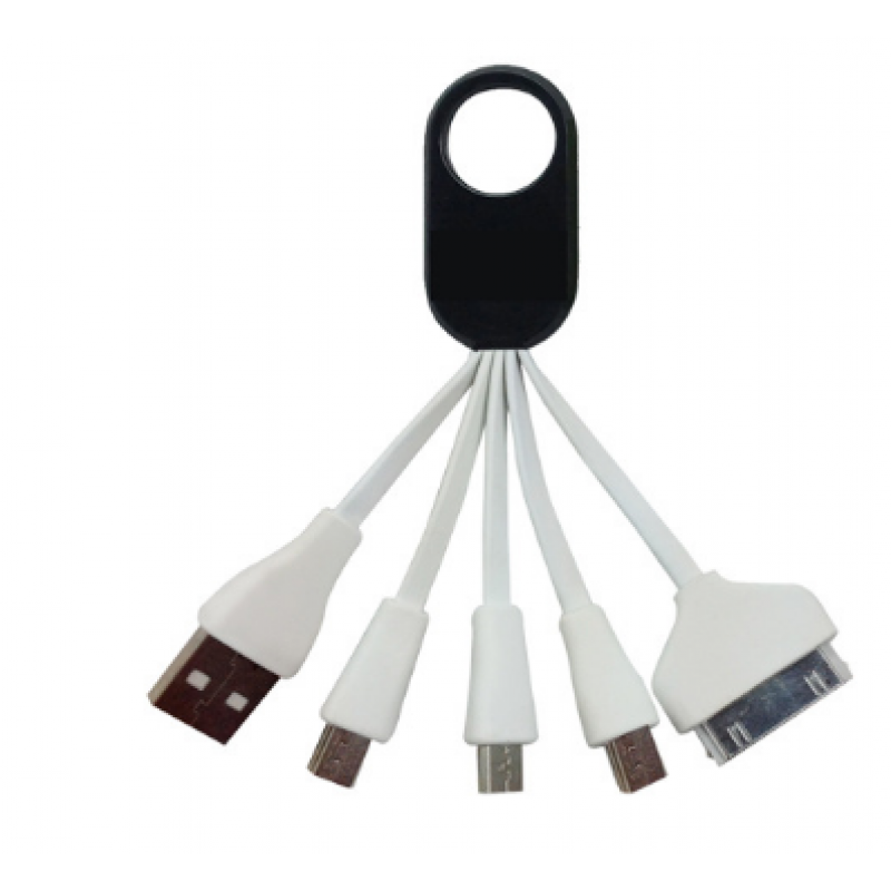 4 in 1 chaige cabie