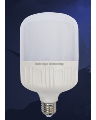 LED Night Light/Plastic Energy Saving Lamp Bulb