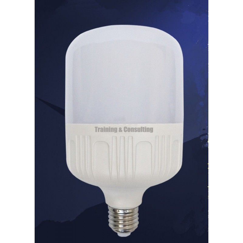 LED Night Light/Plastic Energy Saving Lamp Bulb